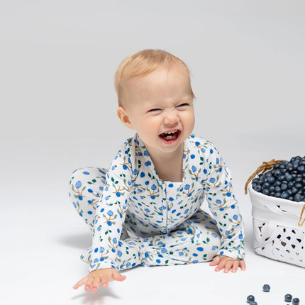 Blueberry Bamboo Zipper Footie
