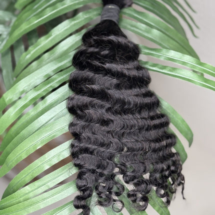 Burmese Curly