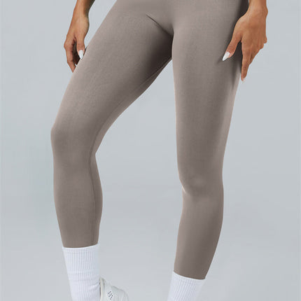 The Elevate New Long Sleeve Crop top Leggings 2-Piece Set