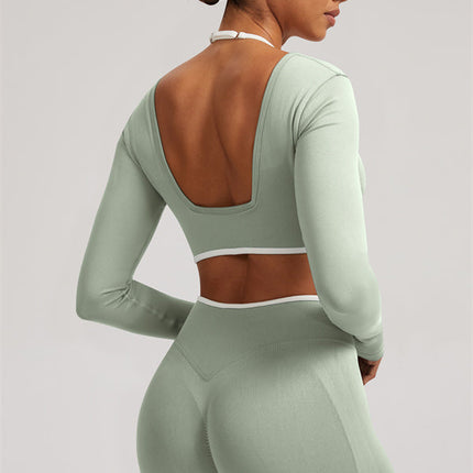 The Elevate New Long Sleeve Crop top