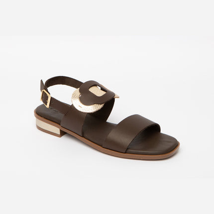 Cala Chestnut