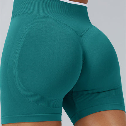 The Elevate Shorts