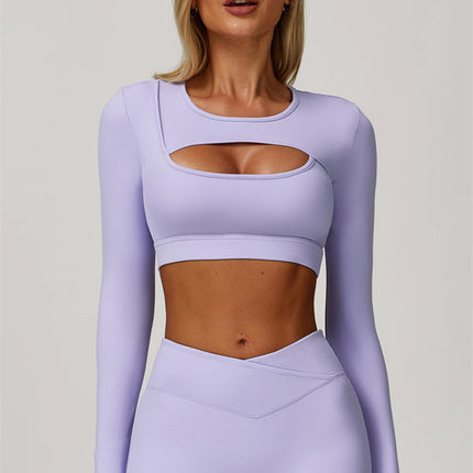 The Lavish Long Sleeve Cut-out Crop Top
