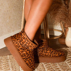 Leopard / 6