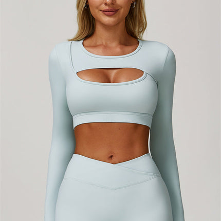 The Lavish Long Sleeve Cut-out Crop Top