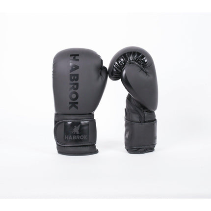 GEN 1.0 | Boxing Gloves |