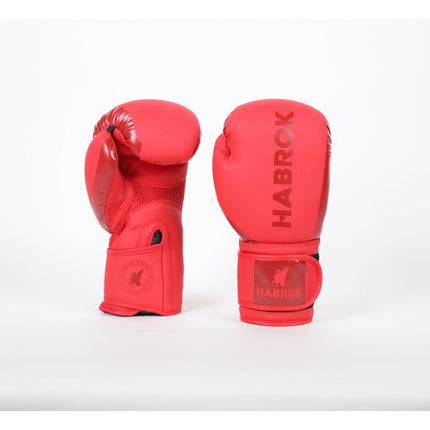 GEN 1.0 | Boxing Gloves |