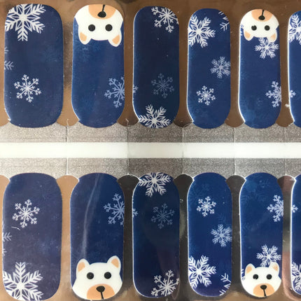 Polar Winter