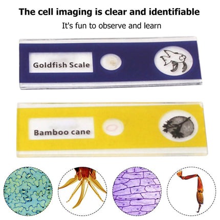 Kids Educational Pocket Handheld Microscope with LED Light