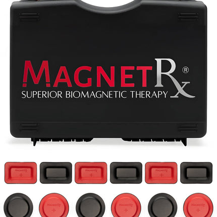 Biomagnetic Therapy Magnet Kit — Ferrite & Leather (12 Mixed Units)