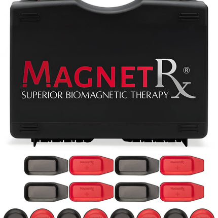Biomagnetic Therapy Magnet Kit — Ferrite & Leather (16 Small Mixed Units)