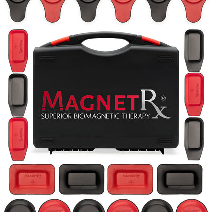 Biomagnetic Therapy Magnet Kit — Ferrite & Leather (22 Mixed Units)