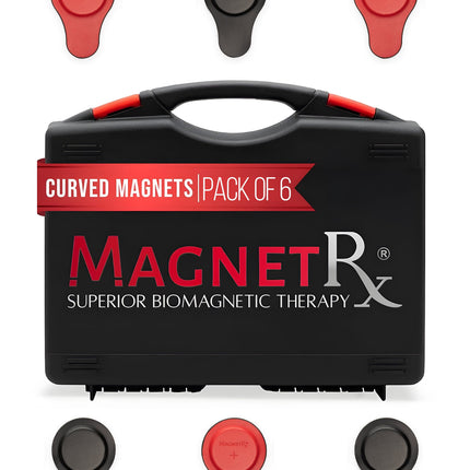 Biomagnetic Therapy Magnet Kit — Ferrite & Leather (6 Large Magnets)