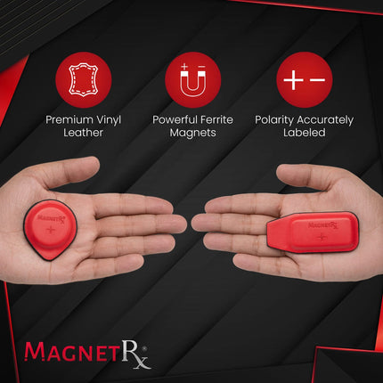 Biomagnetic Therapy Magnet Kit — Ferrite & Leather (16 Small Mixed Units)
