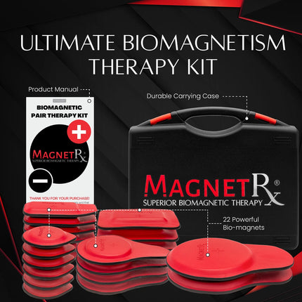 Biomagnetic Therapy Magnet Kit — Ferrite & Leather (22 Mixed Units)