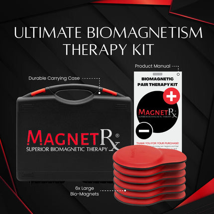 Biomagnetic Therapy Magnet Kit — Ferrite & Leather (6 Large Magnets)