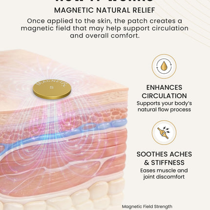 Magnetic Therapy Spot Magnet Kit