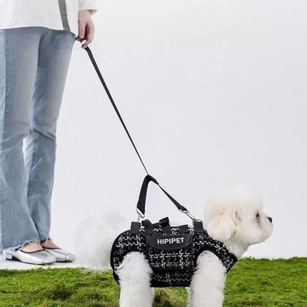 Trendy Plaid Pet Harness and Leash Set