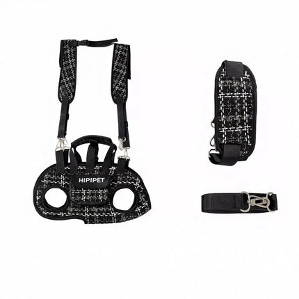 Trendy Plaid Pet Harness and Leash Set