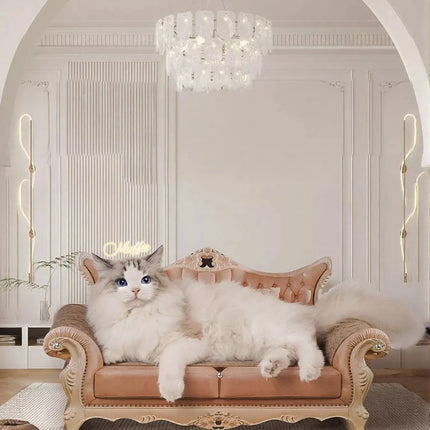 Retro Wear - Resistant Cat Scratcher Lounge