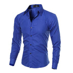 Royal blue / 2XL
