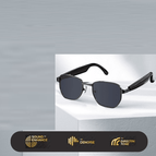 HY-1005 (AI Smart Translation Model) Gun Gray