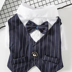 Navy / XS