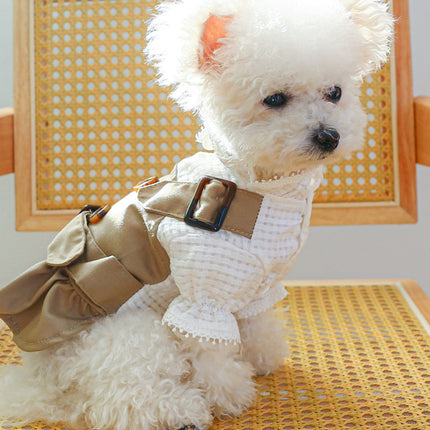 Stylish Buckle Pet Trench Coat