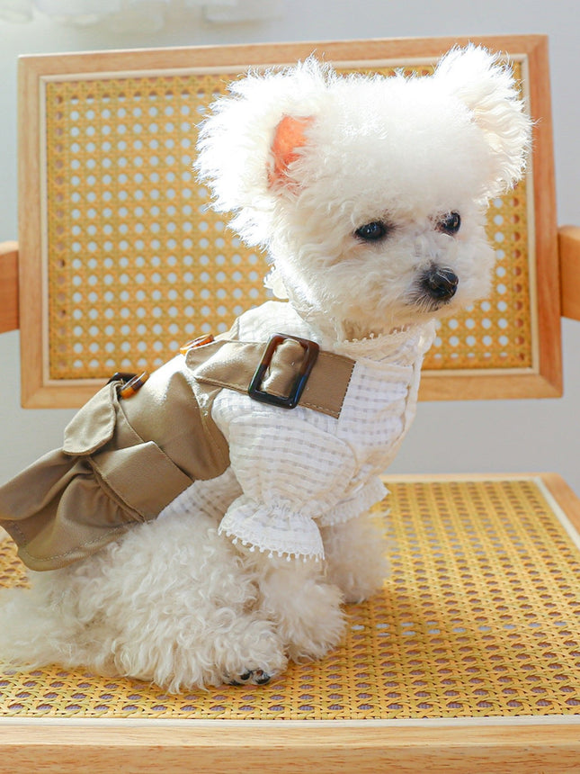 Stylish Buckle Pet Trench Coat