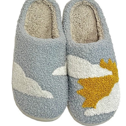 New Novelty Slippers